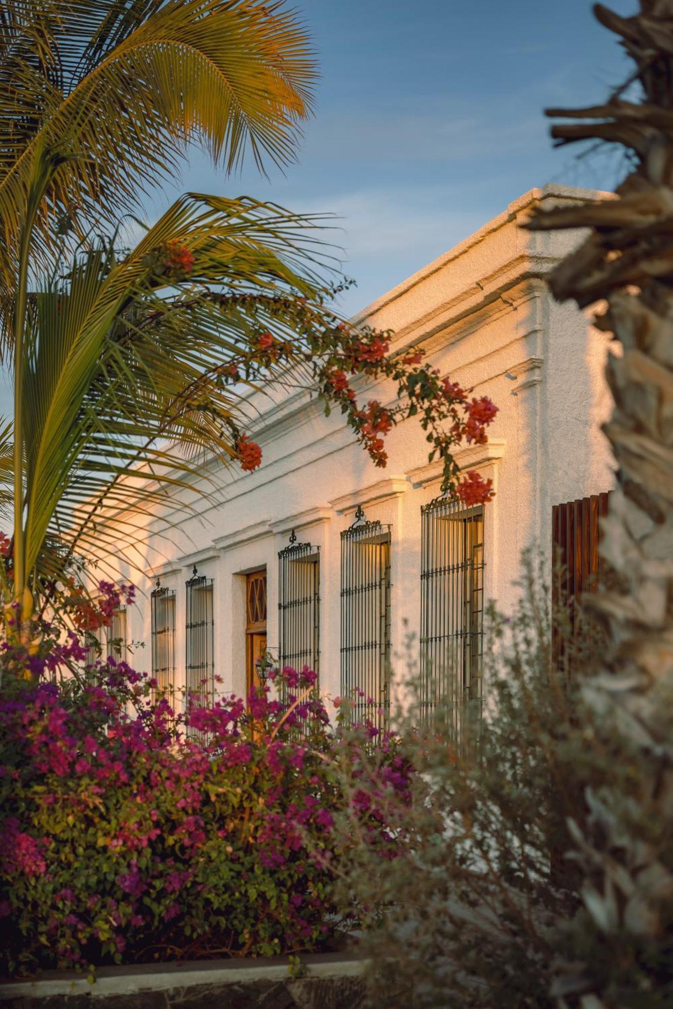 Baja Club Hotel, La Paz, Baja California Sur, A Member Of Design Hotels 외부 사진